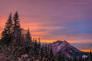 Memorial Luke Karničarja in Rada Markiča--2019 (2)